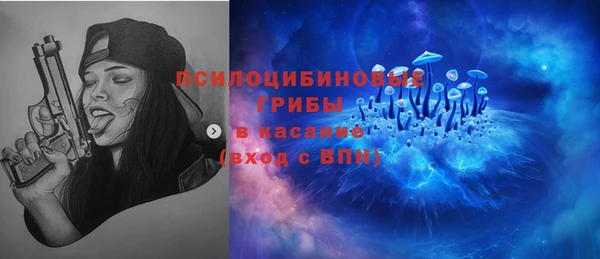 гашик Белокуриха