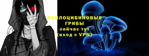 гашик Белокуриха