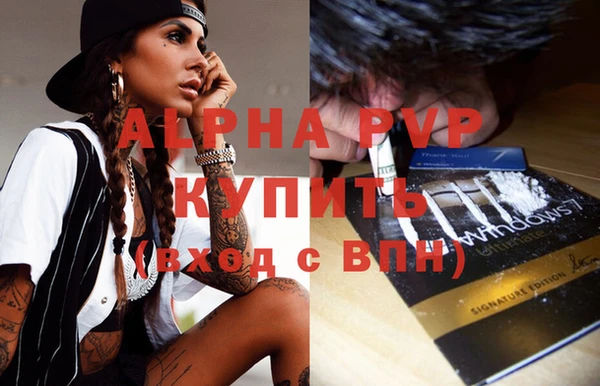 гашик Белокуриха