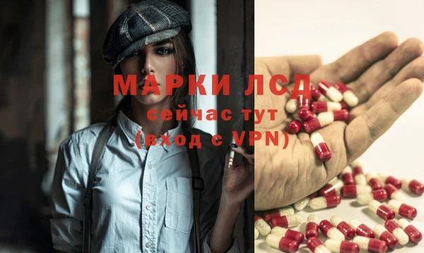 гашик Белокуриха