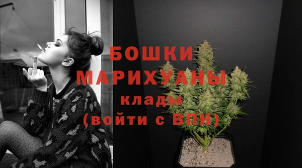гашик Белокуриха